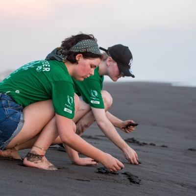 Projects Abroad volunteers in Mexico work with sea turtles on the beach Volunteers work with sea turtles in Mexico on a project for teenagers